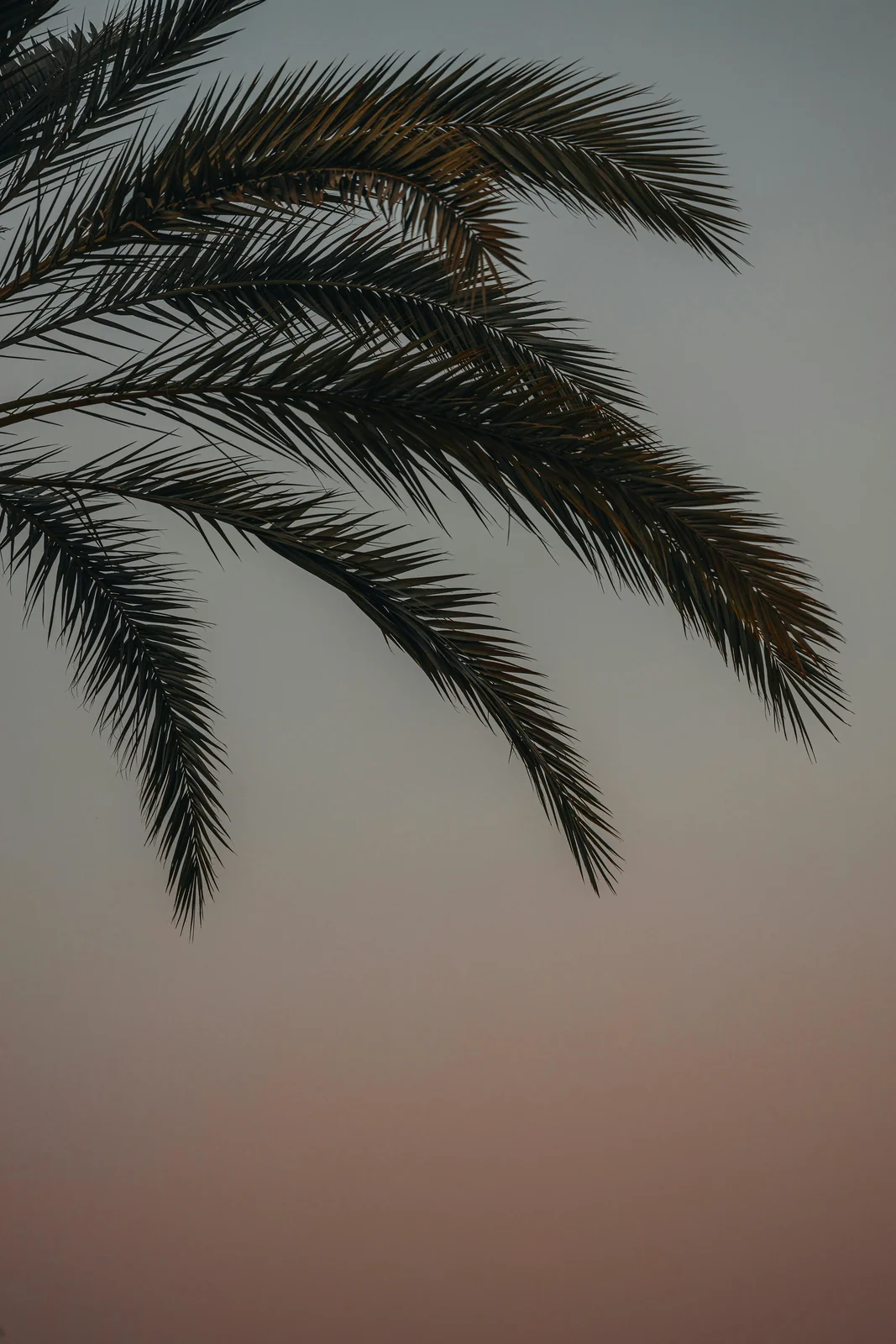 Los Angeles County